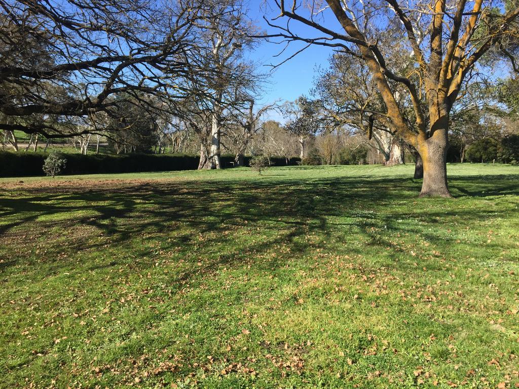 Collingrove Homestead Angaston Exterior photo