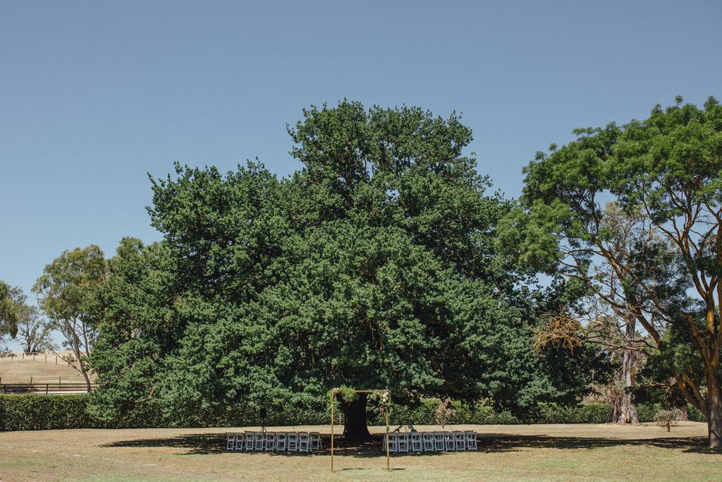 Collingrove Homestead Angaston Exterior photo